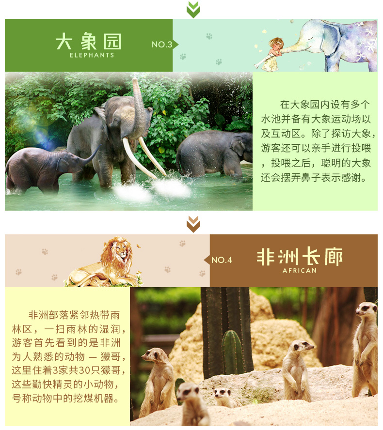 广州长隆野生动物世界门票+长隆国际大马戏门票套票预订