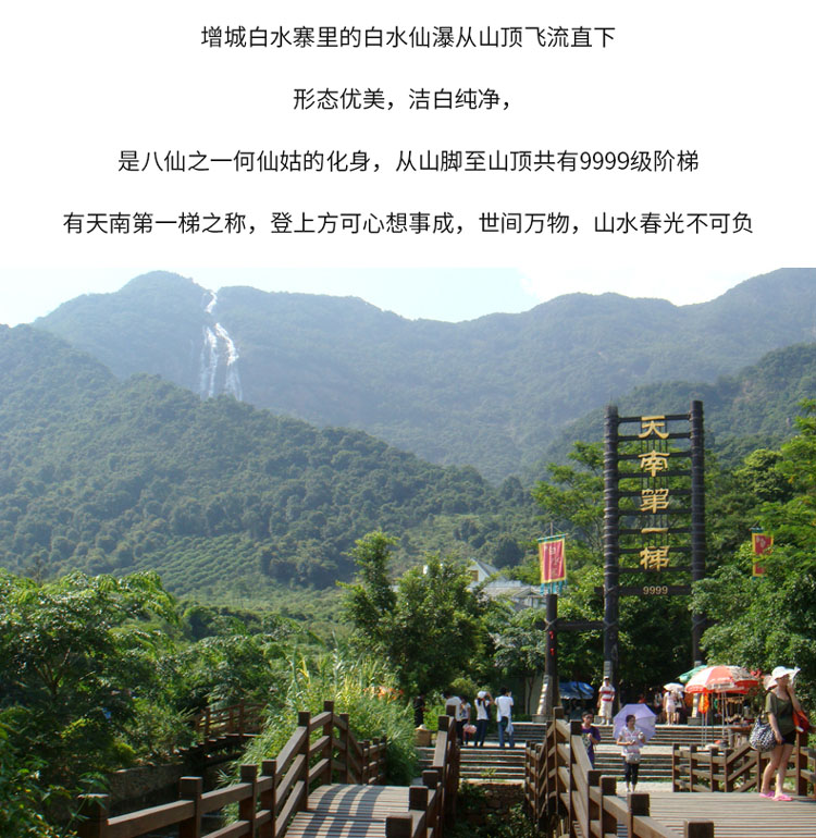 广州一日游，广州周边游增城白水寨一日游，跟团游纯玩含往返车位+景区门票
